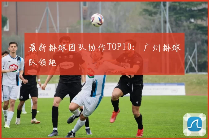 最新排球团队协作TOP10：广州排球队领跑