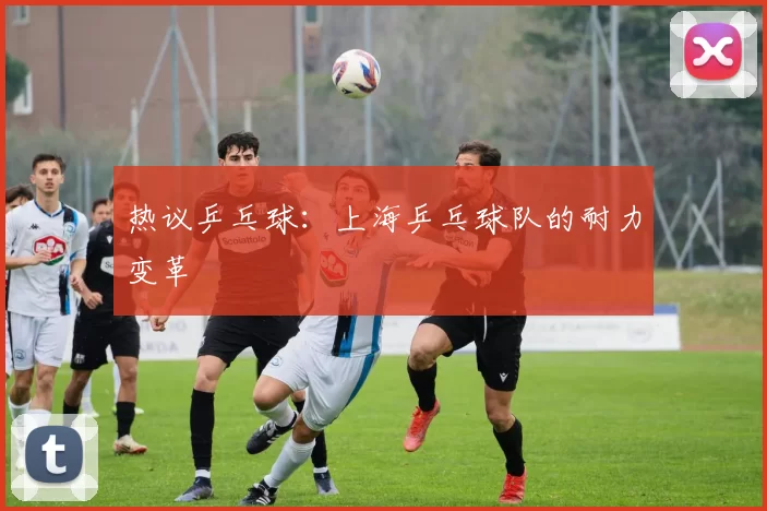 热议乒乓球：上海乒乓球队的耐力变革