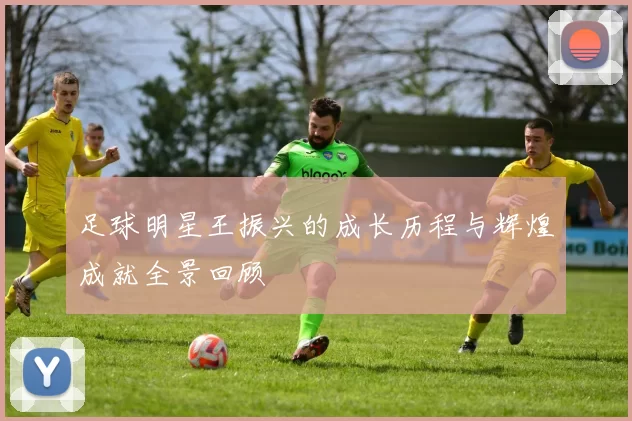 足球明星王振兴的成长历程与辉煌成就全景回顾