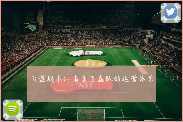 飞盘战术：南京飞盘队的运营体系