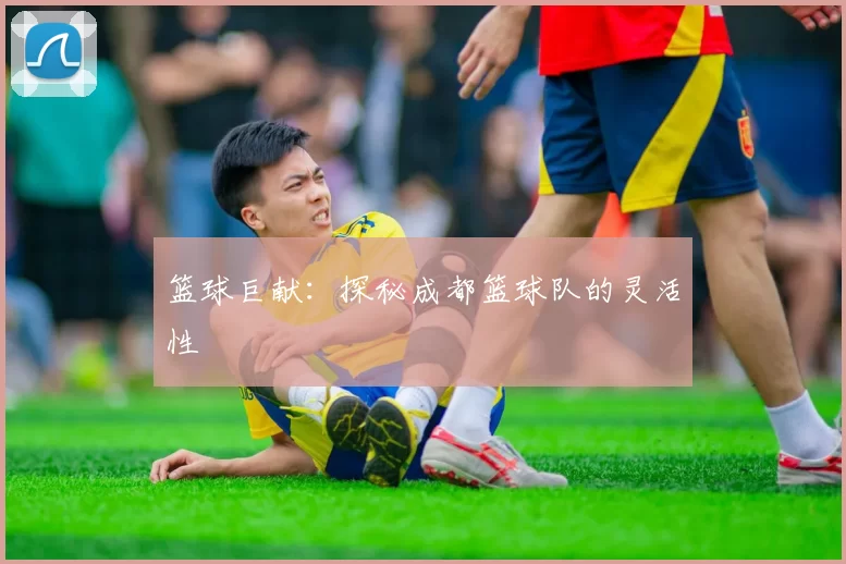 篮球巨献：探秘成都篮球队的灵活性