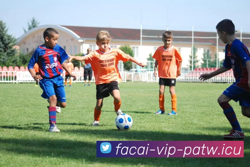 华体会体育发展历程